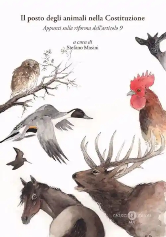 Posto Animali Nella Costituzione