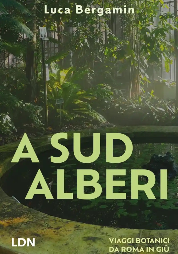 Alberi A Sud