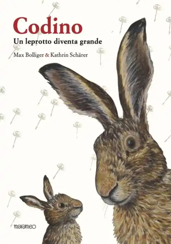 Codino