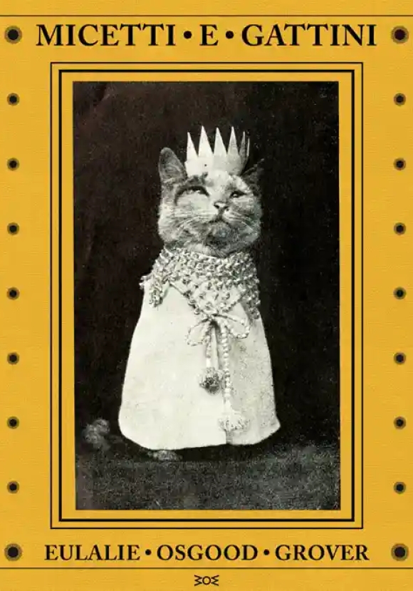 Micetti E Gattini